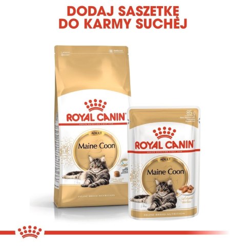 ROYAL CANIN FBN Maine Coon 12x85g ROYAL CANIN FBN Maine Coon 12x85g