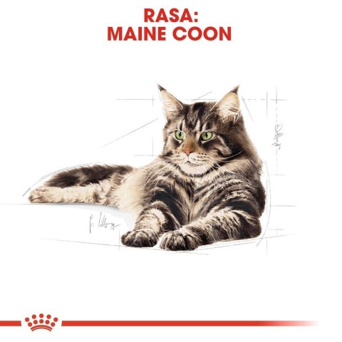 ROYAL CANIN FBN Maine Coon 12x85g ROYAL CANIN FBN Maine Coon 12x85g