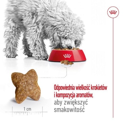 ROYAL CANIN Mini Adult 2kg ROYAL CANIN Mini Adult 2kg