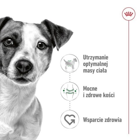 ROYAL CANIN Mini Adult 2kg ROYAL CANIN Mini Adult 2kg