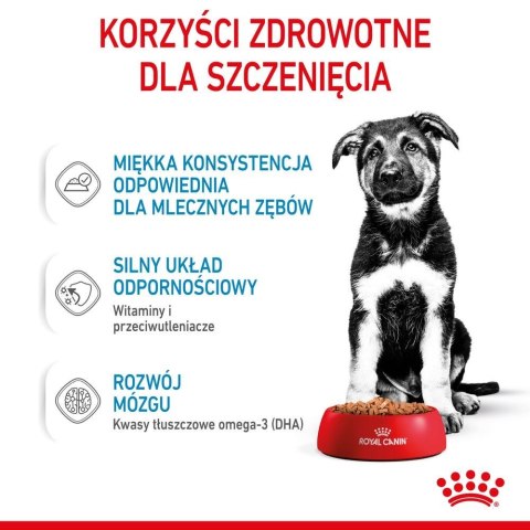 ROYAL CANIN SHN Maxi Puppy w sosie 10X140G ROYAL CANIN SHN Maxi Puppy w sosie 10X140G