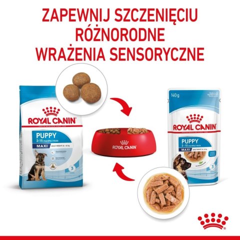 ROYAL CANIN SHN Maxi Puppy w sosie 10X140G ROYAL CANIN SHN Maxi Puppy w sosie 10X140G