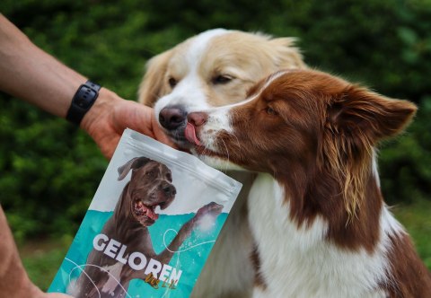 GELOREN Large Dog Suplement dla psa - 420g GELOREN Large Dog Suplement dla psa - 420g