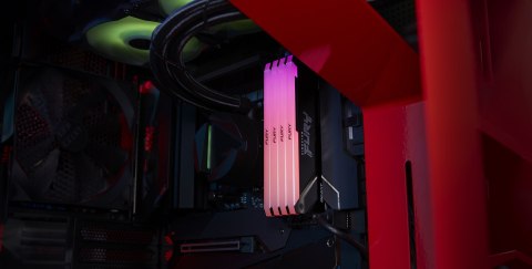 KINGSTON DDR4 16GB 3600MT/s CL18 DIMM FURY Beast RGB KINGSTON DDR4 16GB 3600MT/s CL18 DIMM FURY Beast RGB