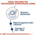 ROYAL CANIN SHN Maxi Adult w sosie 10X140G