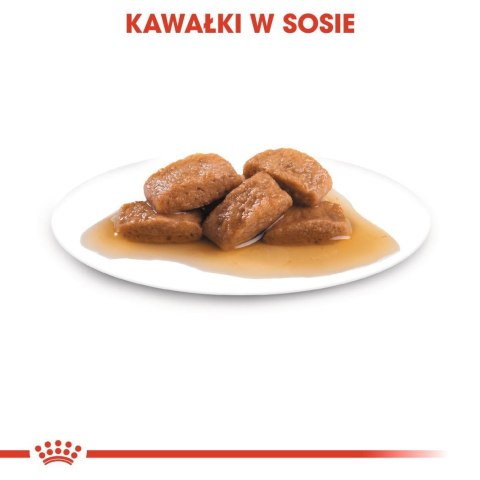 ROYAL CANIN SHN Maxi Adult w sosie 10X140G ROYAL CANIN SHN Maxi Adult w sosie 10X140G