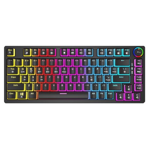 SAVIO KLAWIATURA MECHANICZNA PHENIX RED PUDDING SAVIO KLAWIATURA MECHANICZNA PHENIX RED PUDDING