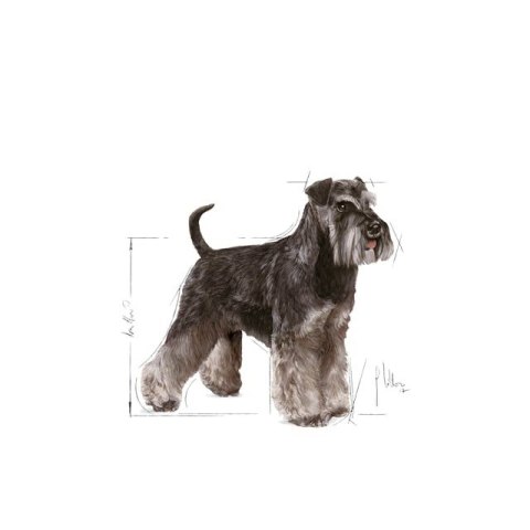 ROYAL CANIN Miniature Schnauzer - sucha karma - 7,5 kg ROYAL CANIN Miniature Schnauzer - sucha karma - 7,5 kg