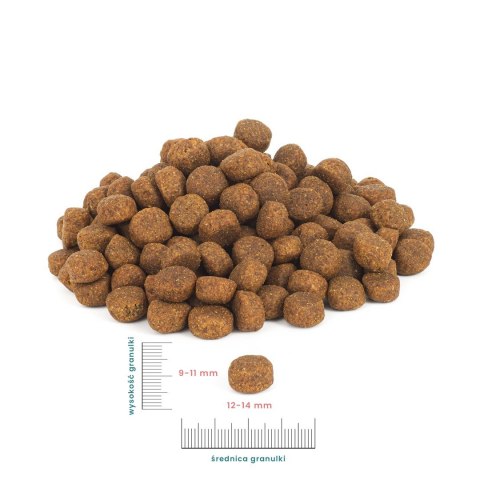 PERRO Cielęcina z batatami dla dorosłych psów średnich i dużych ras - 12 kg PERRO Cielęcina z batatami dla dorosłych psów średnich i dużych ras - 12 kg