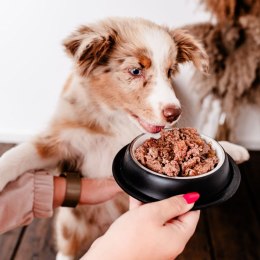 PERRO Gourmet Jeleń z gruszką dla szczeniąt 800 g
