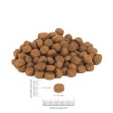 PERRO Wołowina z jagnięciną dla dorosłych psów średnich i dużych ras 1 kg