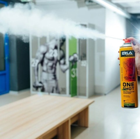 ERLA ONE SHOT 600ML OPAKOWANIE ZBIORCZE 12szt. NEUTRALIZATOR ZAPACHÓW SANDALWOOD ERLA ONE SHOT 600ML OPAKOWANIE ZBIORCZE 12szt. NEUTRALIZATOR ZAPACHÓW SANDALWOOD