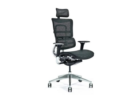 Ergonomiczny fotel biurowy ERGO 800-M czarny Ergonomiczny fotel biurowy ERGO 800-M czarny