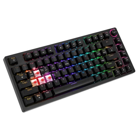 SAVIO KLAWIATURA MECHANICZNA PHENIX RED SAVIO KLAWIATURA MECHANICZNA PHENIX RED