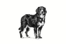 ROYAL CANIN Veterinary Mature Consult Large Dog Vitality & Joint - sucha karma dla psa - 14 kg