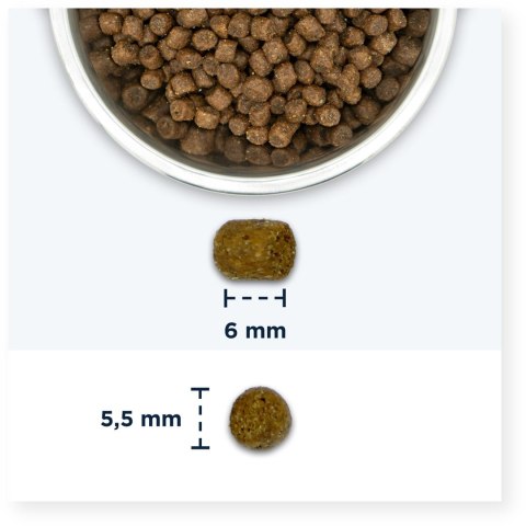 EUKANUBA Kitten Healthy Start chicken - sucha karma dla kota - 10 kg EUKANUBA Kitten Healthy Start chicken - sucha karma dla kota - 10 kg