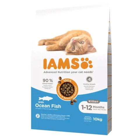 IAMS Kitten Ocean Fish - sucha karma dla kota - 10 kg IAMS Kitten Ocean Fish - sucha karma dla kota - 10 kg