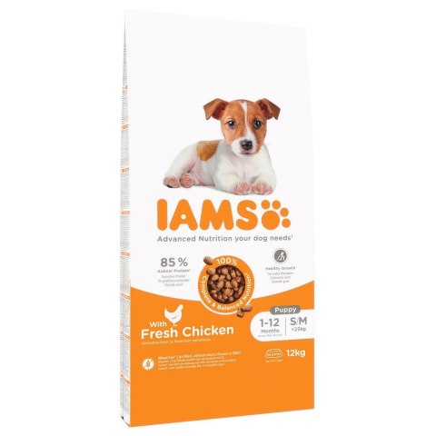 IAMS Puppy & Junior Small Medium sucha karma dla psa 12kg IAMS Puppy & Junior Small Medium sucha karma dla psa 12kg