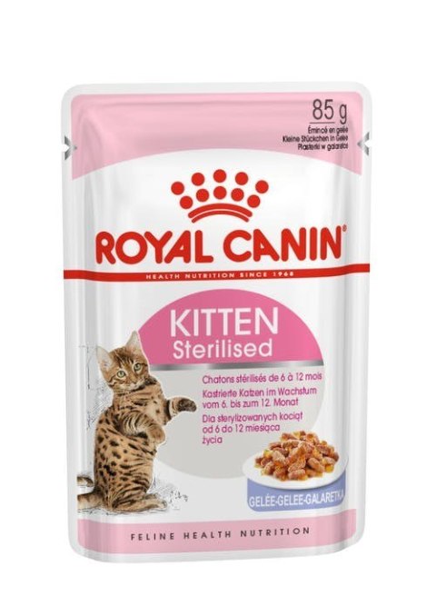 ROYAL CANIN FHN Kitten Sterilised w galaretce - mokra karma dla kociąt - 12x85g ROYAL CANIN FHN Kitten Sterilised w galaretce - mokra karma dla kociąt - 12x85g