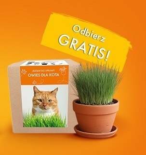 BUTCHER"S Owies dla kota