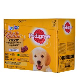 PEDIGREE Junior Wybór smaków w galaretce - mokra karma dla psa - 12x100 g
