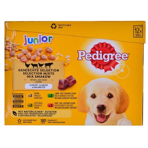 PEDIGREE Junior Wybór smaków w galaretce - mokra karma dla psa - 12x100 g PEDIGREE Junior Wybór smaków w galaretce - mokra karma dla psa - 12x100 g