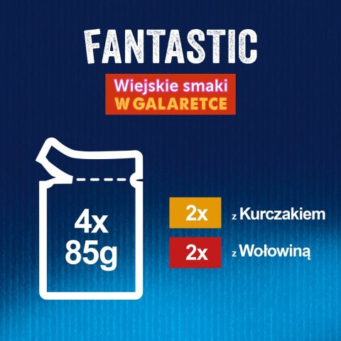 PURINA Felix Fantastic: wiejskie smaki - karma dla kota - 4 x 85g PURINA Felix Fantastic: wiejskie smaki - karma dla kota - 4 x 85g