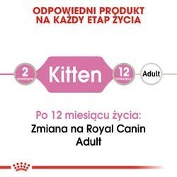 ROYAL CANIN FHN Kitten Instinctive in Jelly - mokra karma dla kociąt - 12x85g ROYAL CANIN FHN Kitten Instinctive in Jelly - mokra karma dla kociąt - 12x85g