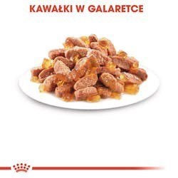 ROYAL CANIN FHN Kitten Instinctive in Jelly - mokra karma dla kociąt - 12x85g ROYAL CANIN FHN Kitten Instinctive in Jelly - mokra karma dla kociąt - 12x85g