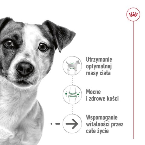 ROYAL CANIN Mini Ageing +12 3,5kg ROYAL CANIN Mini Ageing +12 3,5kg
