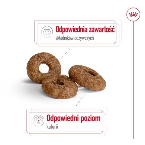 ROYAL CANIN Mini Ageing +12 3,5kg ROYAL CANIN Mini Ageing +12 3,5kg