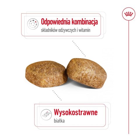 ROYAL CANIN SHN Giant Adult - sucha karma dla psa dorosłego - 15 kg ROYAL CANIN SHN Giant Adult - sucha karma dla psa dorosłego - 15 kg