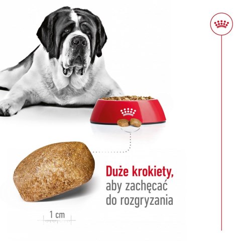 ROYAL CANIN SHN Giant Adult - sucha karma dla psa dorosłego - 15 kg ROYAL CANIN SHN Giant Adult - sucha karma dla psa dorosłego - 15 kg