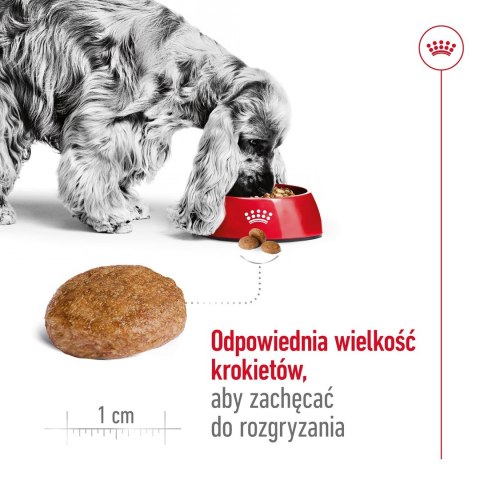 ROYAL CANIN SHN Medium Adult 7+ - sucha karma dla psa dorosłego - 15 kg ROYAL CANIN SHN Medium Adult 7+ - sucha karma dla psa dorosłego - 15 kg