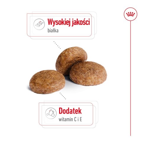 ROYAL CANIN SHN Medium Adult 7+ - sucha karma dla psa dorosłego - 15 kg ROYAL CANIN SHN Medium Adult 7+ - sucha karma dla psa dorosłego - 15 kg