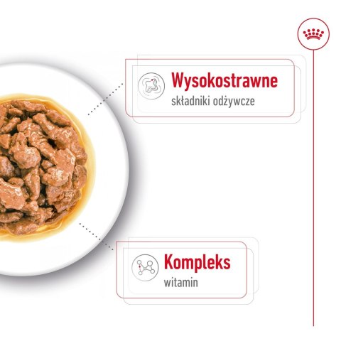 ROYAL CANIN SHN Mini Adult w sosie - mokra karma dla psa dorosłego - 12X85g ROYAL CANIN SHN Mini Adult w sosie - mokra karma dla psa dorosłego - 12X85g