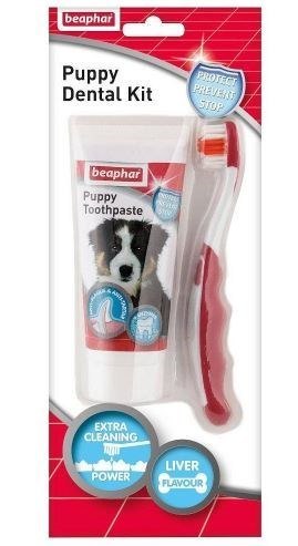 Beaphar pasta do zębów 50g + szczoteczka dla szczeniąt Beaphar pasta do zębów 50g + szczoteczka dla szczeniąt