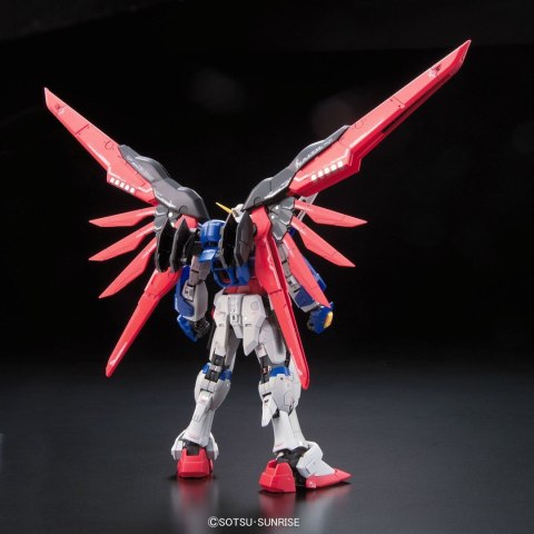 RG 1/144 DESTINY GUNDAM BL RG 1/144 DESTINY GUNDAM BL