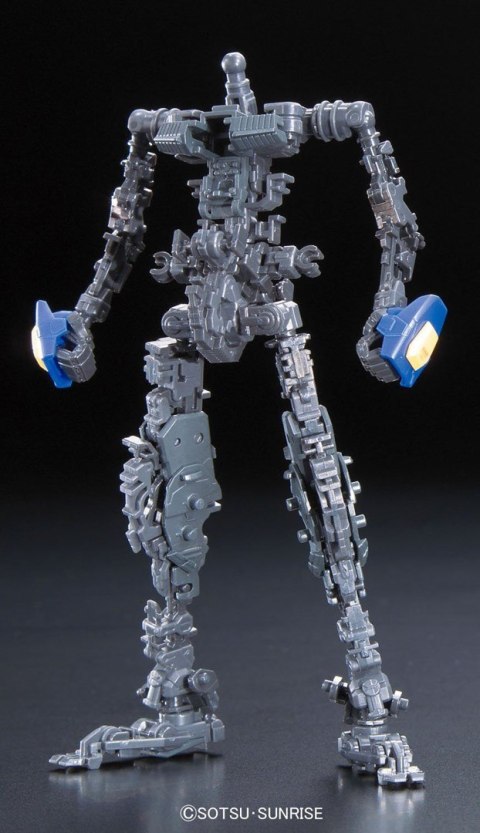 RG 1/144 DESTINY GUNDAM BL RG 1/144 DESTINY GUNDAM BL