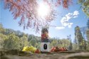 Blender Smoothie bezprzewodowy CONCEPT SM400