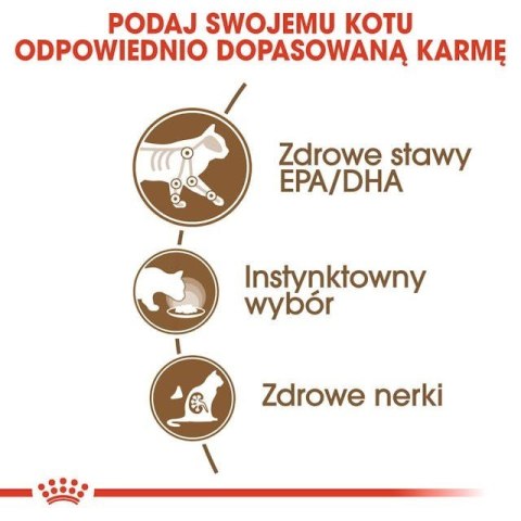 ROYAL CANIN FHN Ageing 12+ w galaretce - mokra karma dla kota starszego - 12x85g ROYAL CANIN FHN Ageing 12+ w galaretce - mokra karma dla kota starszego - 12x85g