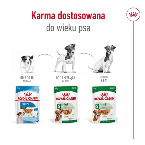 ROYAL CANIN SHN Mini Adult w sosie - mokra karma dla psa dorosłego - 12X85g ROYAL CANIN SHN Mini Adult w sosie - mokra karma dla psa dorosłego - 12X85g