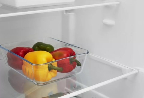 Chłodziarka INDESIT SI6 2 S EU Chłodziarka INDESIT SI6 2 S EU