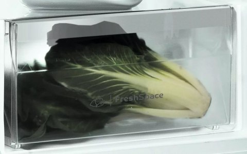 Chłodziarka INDESIT SI6 2 S EU Chłodziarka INDESIT SI6 2 S EU