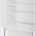 Chłodziarko-zamrażarka BEKO B1RCNA364G
