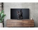 Telewizor 55" Samsung QE55S90CATXXH