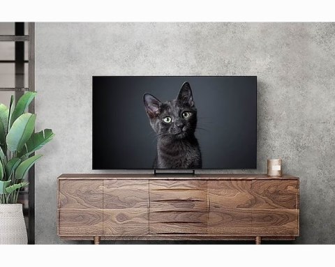 Telewizor 55" Samsung QE55S90CATXXH Telewizor 55" Samsung QE55S90CATXXH