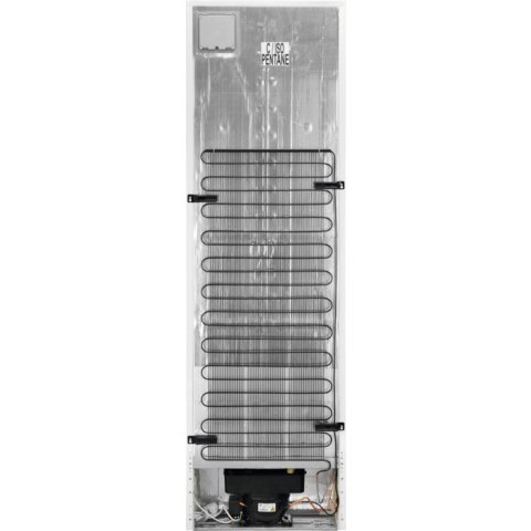 Chłodziarko-zamrażarka ELECTROLUX LNT7ME36X3 Chłodziarko-zamrażarka ELECTROLUX LNT7ME36X3