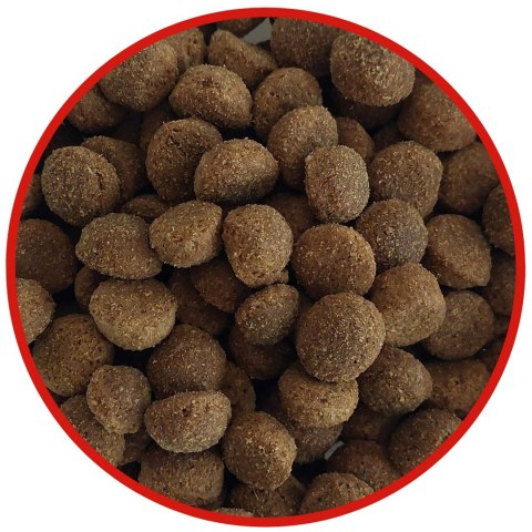 BIOFEED TASTY LIFE - karma sucha dla dorosłych psów średnich i dużych ras z wołowiną 15kg BIOFEED TASTY LIFE - karma sucha dla dorosłych psów średnich i dużych ras z wołowiną 15kg