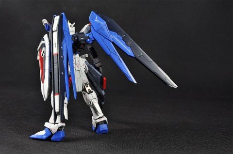 RG 1/144 FREEDOM GUNDAM BL RG 1/144 FREEDOM GUNDAM BL